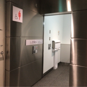東京国際フォーラム(B1F 多目的トイレ内)の授乳室・おむつ替え台の写真(2枚目)