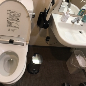 リッチモンドホテル宇都宮駅前(1F)のオムツ替え台情報 画像2
