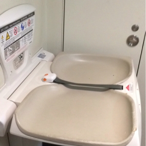 東京国際フォーラム(B1F 多目的トイレ内)の授乳室・おむつ替え台の写真(3枚目)