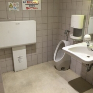 イトーヨーカドー赤羽店 多機能トイレ(2F)のオムツ替え台情報 画像2