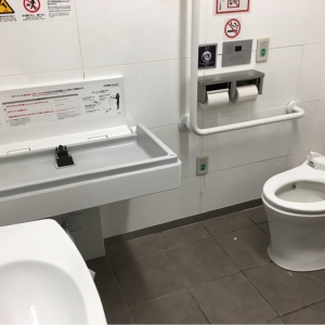 田町センタービル(2F 多目的トイレ内)の授乳室・おむつ替え台の写真(2枚目)