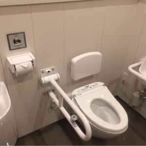 豊島区役所(5F 多目的トイレ)のオムツ替え台情報 画像2