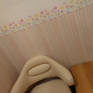 グランデュオ蒲田(東館5階)の授乳室・オムツ替え台情報 画像16