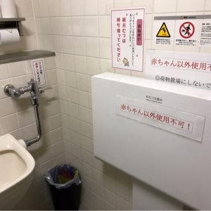 高山市民文化会館(1F)のオムツ替え台情報 画像2