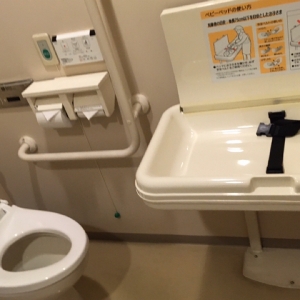 瀬戸蔵(1階 多目的トイレ)のオムツ替え台情報 画像2