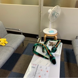 扇風機や暖房もありました。