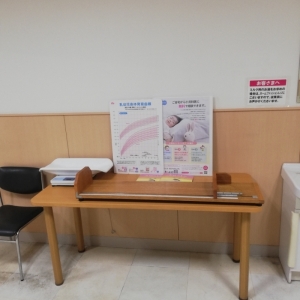 身長、スケール