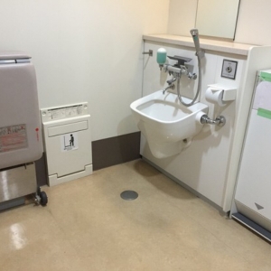 板橋健康福祉センター(1F多機能トイレ)のオムツ替え台情報 画像2