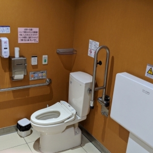 株式会社ヤオコー　前橋箱田店(1F)のオムツ替え台情報 画像3