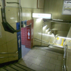 東京メトロ有楽町線(日比谷方面改札内)のオムツ替え台情報 画像1