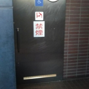 真岡駅(1F 東口駅舎内多機能トイレ)の授乳室・おむつ替え台の写真(1枚目)