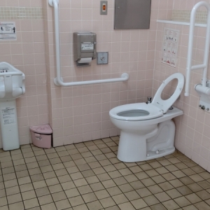 荒川自然公園(白鳥の池付近)のオムツ替え台情報 画像3