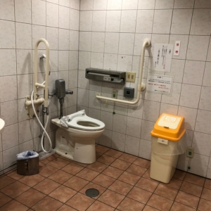 新宿センタービル(B1F 多目的トイレ)のオムツ替え台情報 画像4