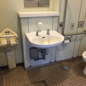 西ヶ原みんなの公園 雑木林と土の広場脇 多機能トイレのオムツ替え台情報 画像2