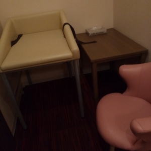 札幌グランドホテル(本館1階 ベルカウンター裏手)の授乳室・おむつ替え台の写真(4枚目)