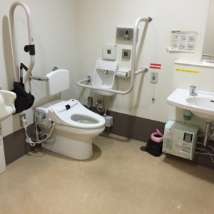 板橋健康福祉センター(1F多機能トイレ)のオムツ替え台情報 画像3