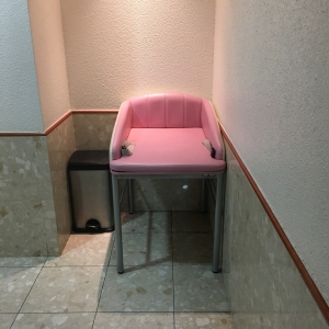 銀座コア(5F 女性用トイレ内)の授乳室・オムツ替え台情報 画像7