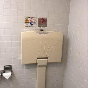上尾市自然学習館(2F)のオムツ替え台情報 画像2