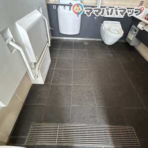 川越駅東口駅前交通広場公衆トイレ(1F)のオムツ替え台情報 画像2