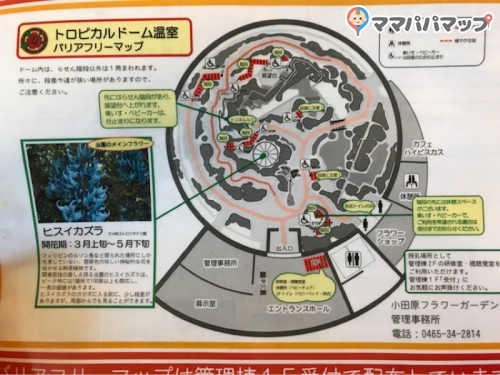 小田原フラワーガーデンの授乳室 オムツ替え台情報 小田原フラワーガーデンの授乳室 オムツ替え台情報